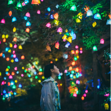 ひかりの森～夜の芸術散歩～